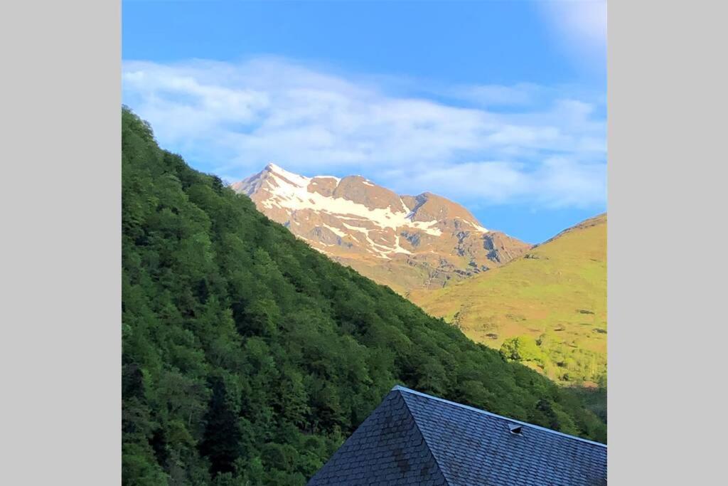 Grand T2 4 Voyageurs Tout Confort Cauterets Exterior foto